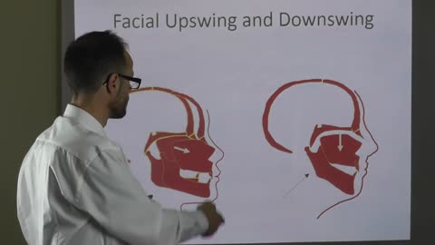 Facial Upswing And Downswing By Dr Mike Mew