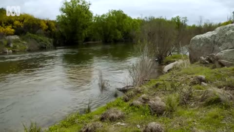 The Australian town that floods every time it rains _ ABC News