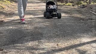 Homemade RC Baby Transport kid on the playground