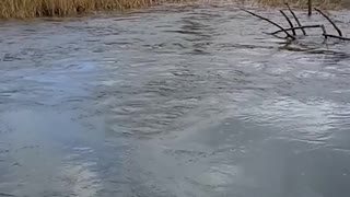 Pumpkin Sucked into Whirlpool Pops Out Other Side