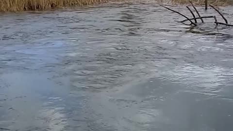 Pumpkin Sucked into Whirlpool Pops Out Other Side