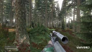 Dayz Kills