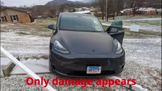 Tesla Slide Down Icey Grassy Hill