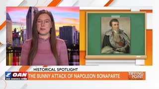 Tipping Point - Historical Spotlight - The Bunny Attack of Napoleon Bonaparte