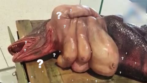Fisherman Caught A River Monster~The Ending Will SHOCK You!