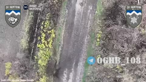 Ukrainian drones wipe out dozen of Russian troops with smart Bomb