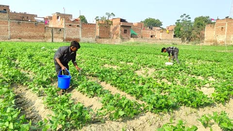 Life Of Poor Slum Dwellers In Indian Village | Natural Life In India Farmer | Rural Life India