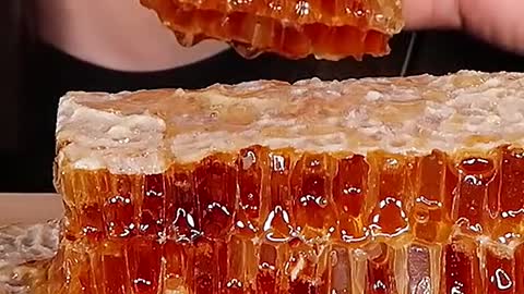 Raw HoneyComb, Honey Jelly #zoeyasmr #zoeymukbang #bigbites #mukbang #asmr #food #먹방 #틱톡푸드 #rawhoney