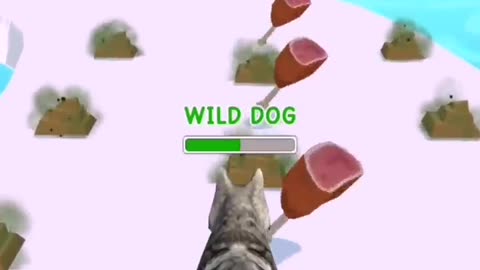 Doggy run gameplay
