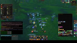 Turtle Wow - Doom Turtles weekly ES run HM - 8 Feb - Mage POV - no commentary