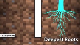 How Deep has Mankind Dug Beneath the Earth?