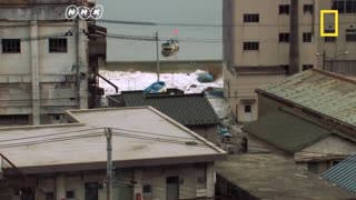 tsunami in japan
