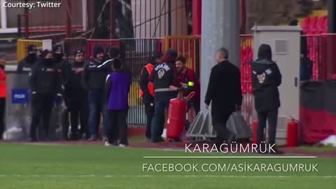 Canine interruption How a dog brought a football match to a halt.