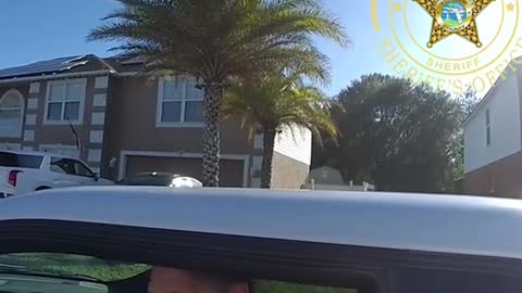 Florida driver blames Putin for traffic stop