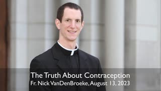 Fr. VanDenBroeke: The Truth About Contraception