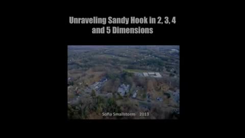 ~Unraveling Sandy Hook~