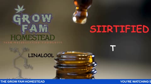 SIIRTIFIED TERPY THURSDAYS WITH SIIR STEVEO EPISODE ONE