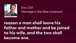 Day 220: Marriage in the New Covenant — The Catechism in a Year (with Fr. Mike Schmitz)