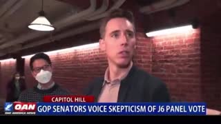 SenJosh Hawley: "The FBI Deliberately Interfered In 2 Presidential Elections"