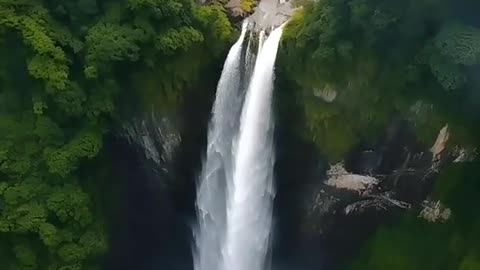 Beautiful nature video