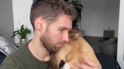 Dog Gets Cuddled in Owner's Lap