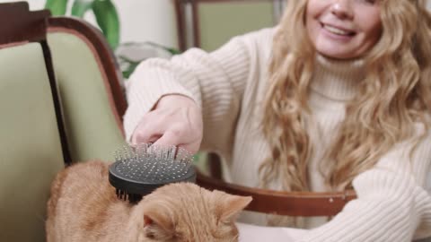 A Woman Brushing Her Cat