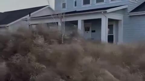 🚨#BREAKING: Hundreds of thousands of Tumbleweeds have taken over a Utah neighborhood