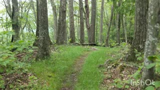 Day 26 - Appalachian Trail 2020 - NC, TN, VA, WV, MD , PA