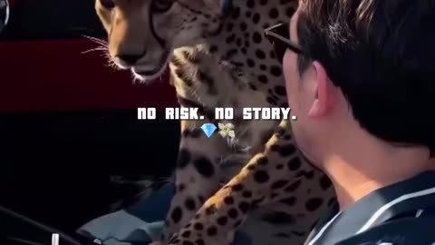 No risk no story take the risk and the world is your