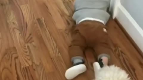 Cute baby vs puppy Very funny video😀😂