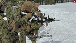 Cold Warfare: Marines train for Arctic conflict high in the mountains of California
