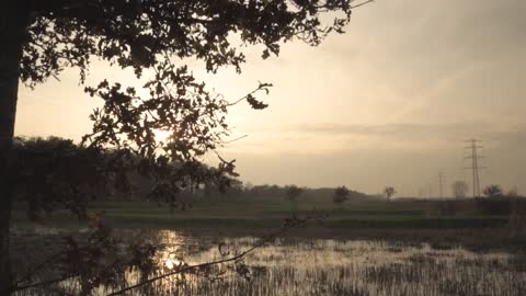 Sunset over marshlands