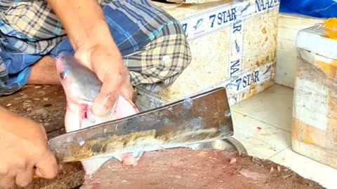 Amazing Pangas Fish Cutting Skills