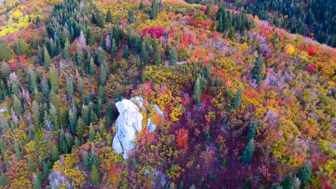 Magnificent Drone Footage Captures Awesome Fall Colors