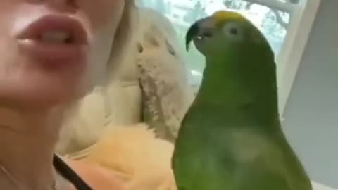 poor parrot