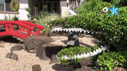 A 94-year-old Honolulu woman finds joy in topiaries she’s tended since the 1950s