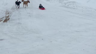 Sledding time