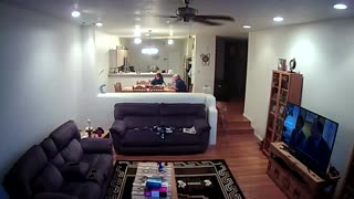 Dog Gets BUSTED on Security Camera Whizzing On Couch!