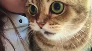 Cranky Kitty Can't Handle Kisses