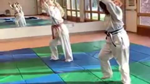 Hapkido