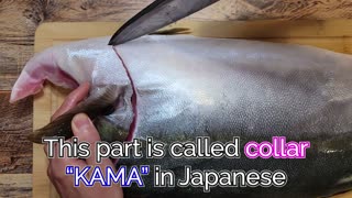 How to cut Hamachi Yellowtail for sushi saku