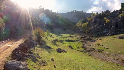 Scenic rural road, pasture with grazing cows and beautiful rock formations