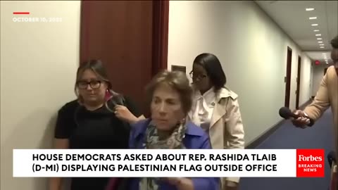 Multiple Dem Lawmakers Asked About Rashida Tlaib Displaying Palestinian FlagHere's What They Say