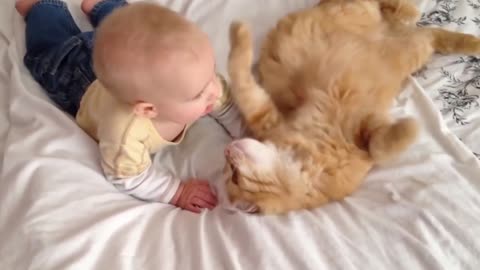 Baby received a sweet hugs and kisses from his bestfriend Cat