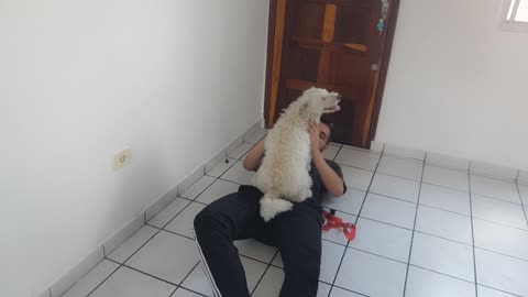 Amazing Reaction my dog!!, 15 days without seeing me.(