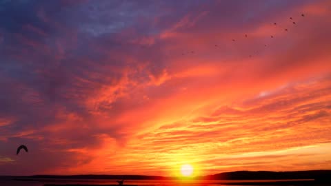 Watch an amazing clip of sunrise and birds