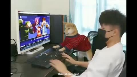 Dog Rage Quits#! Shiba plays video games against human # #Shorts #RAGEQUIT