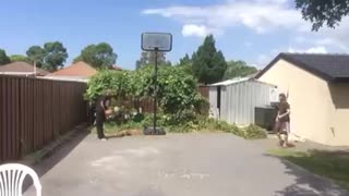 Basketball consistent wall shots