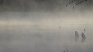 The pond is fog covered this morning 11/5/21