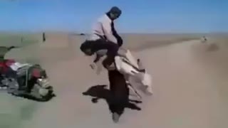 Strong man can lift a donkey